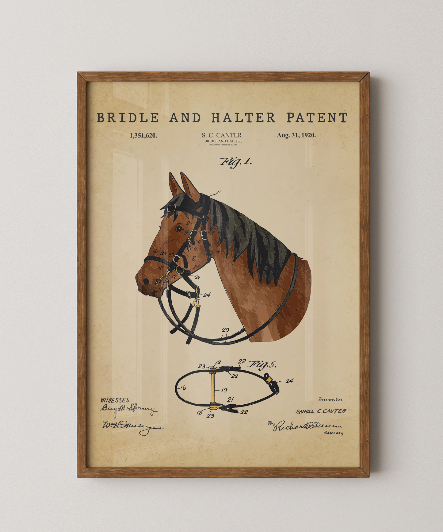 Bridle and Halter Patent