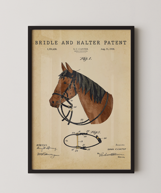 Bridle and Halter Patent
