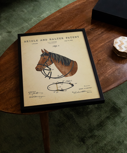 Bridle and Halter Patent