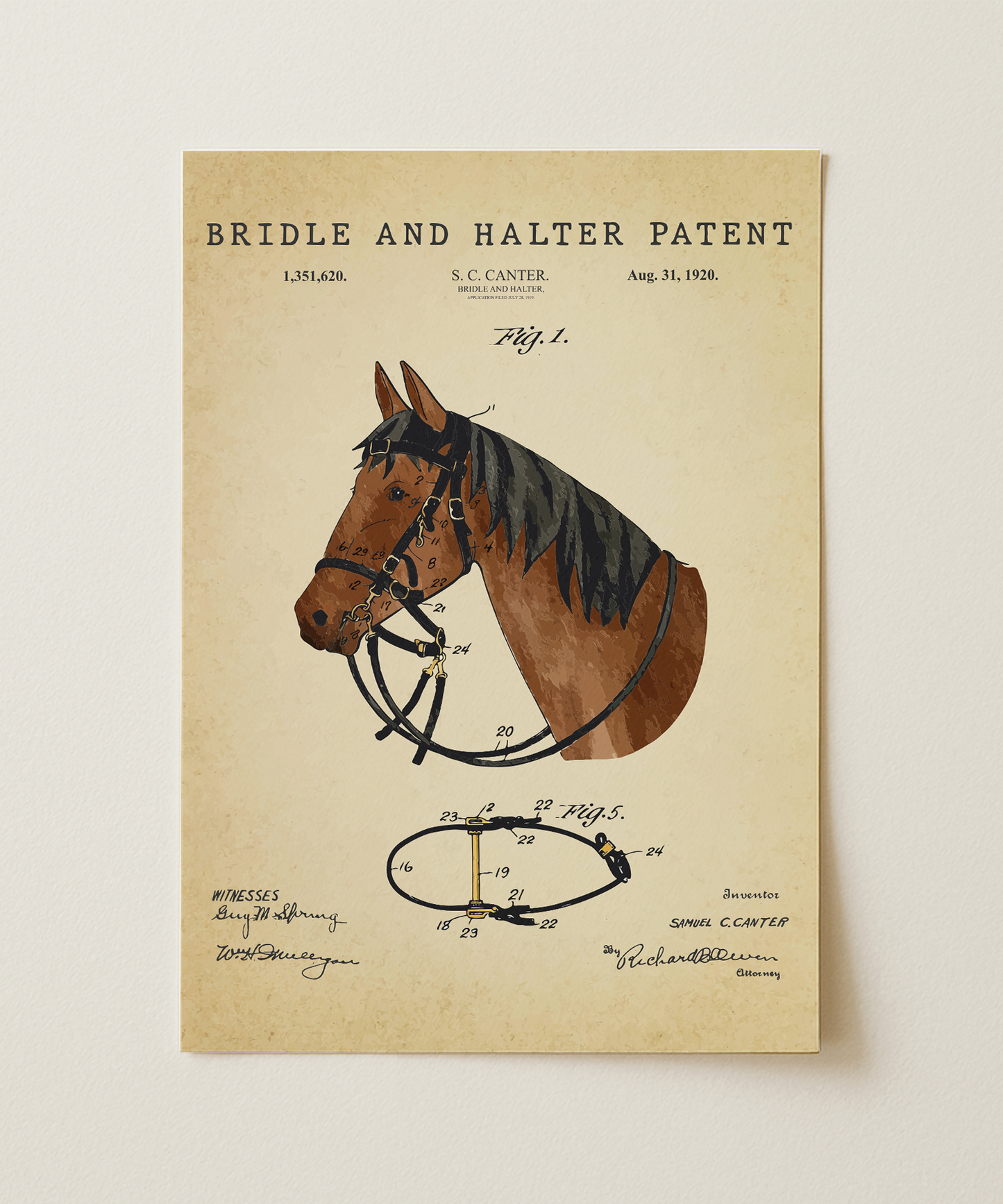 Bridle and Halter Patent