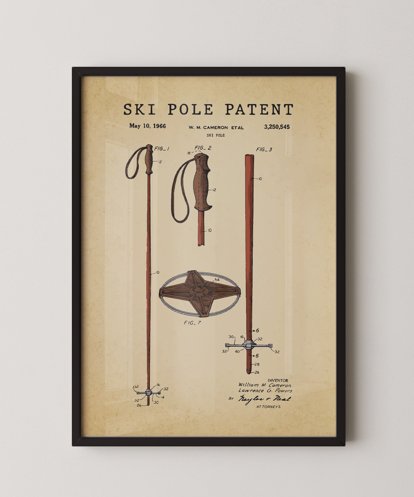 Ski Pole Patent